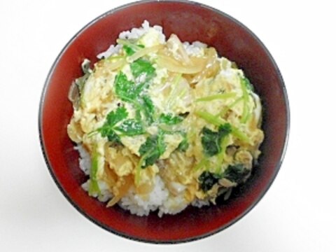 ネギたっぷり親子丼